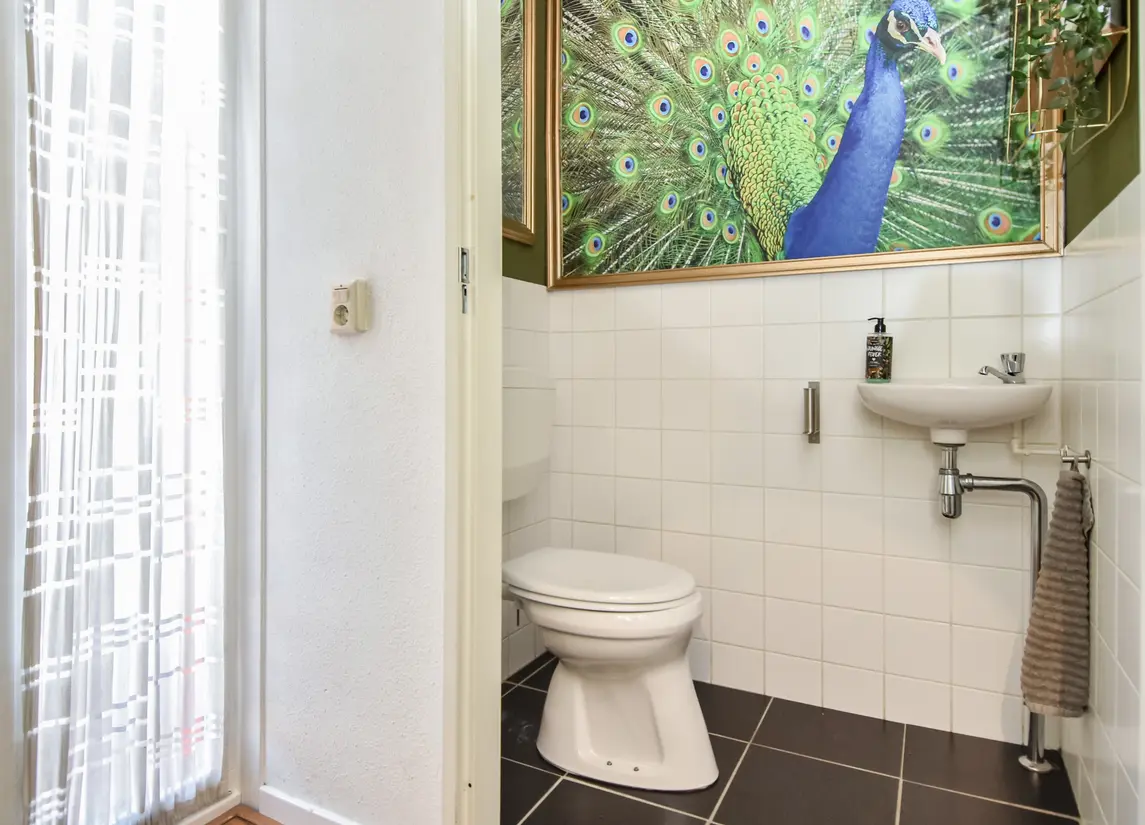 Operatie Mannahof 7