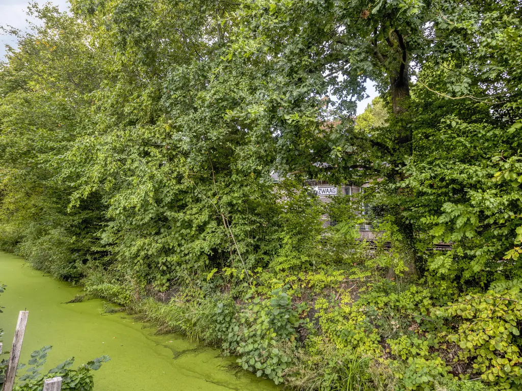 Langetuin 191, Zwaag
