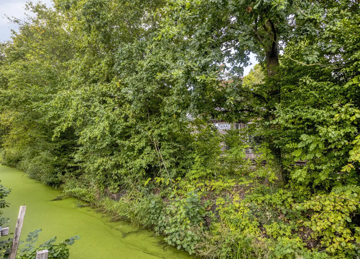 Langetuin 191