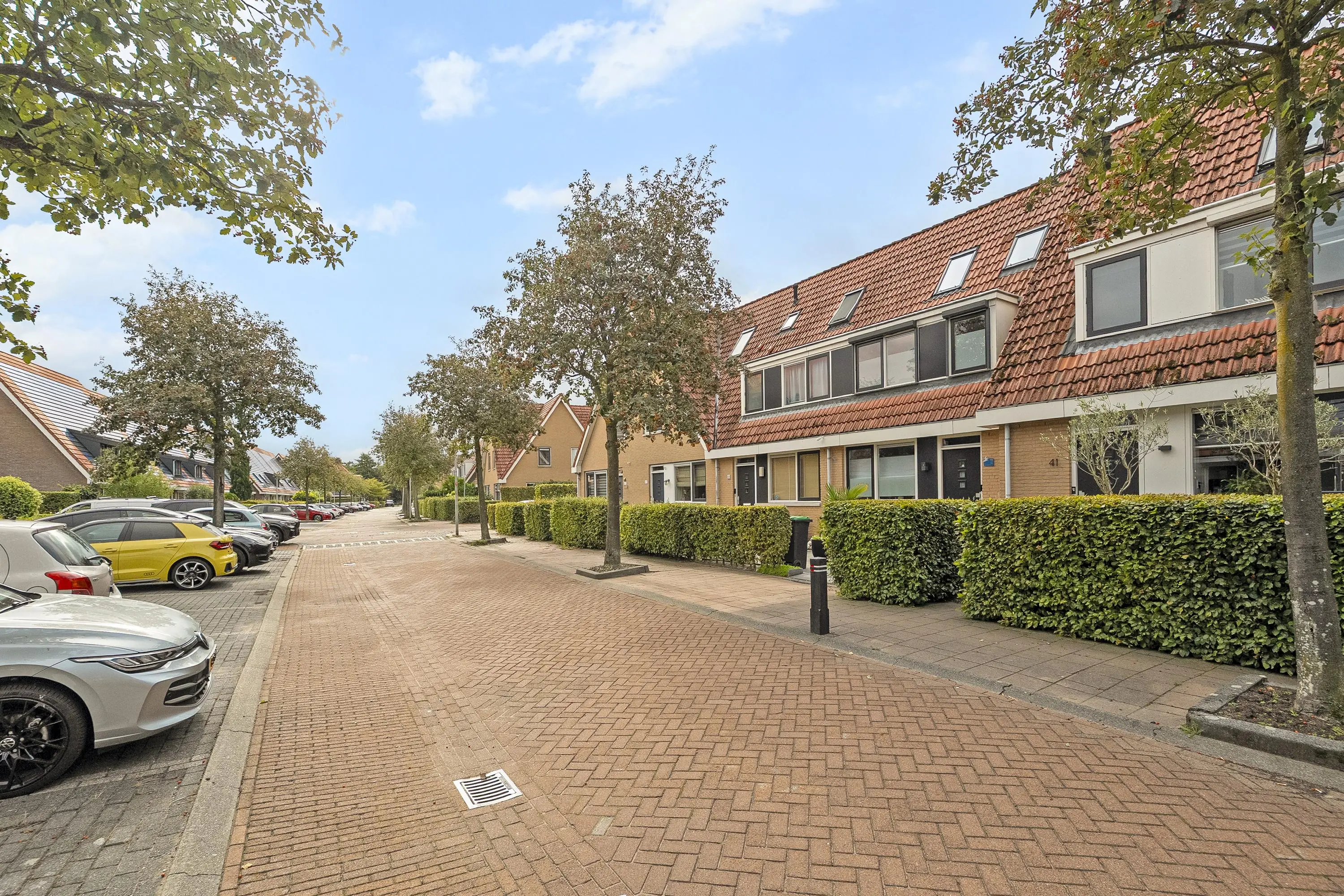 Riedermeet 43
