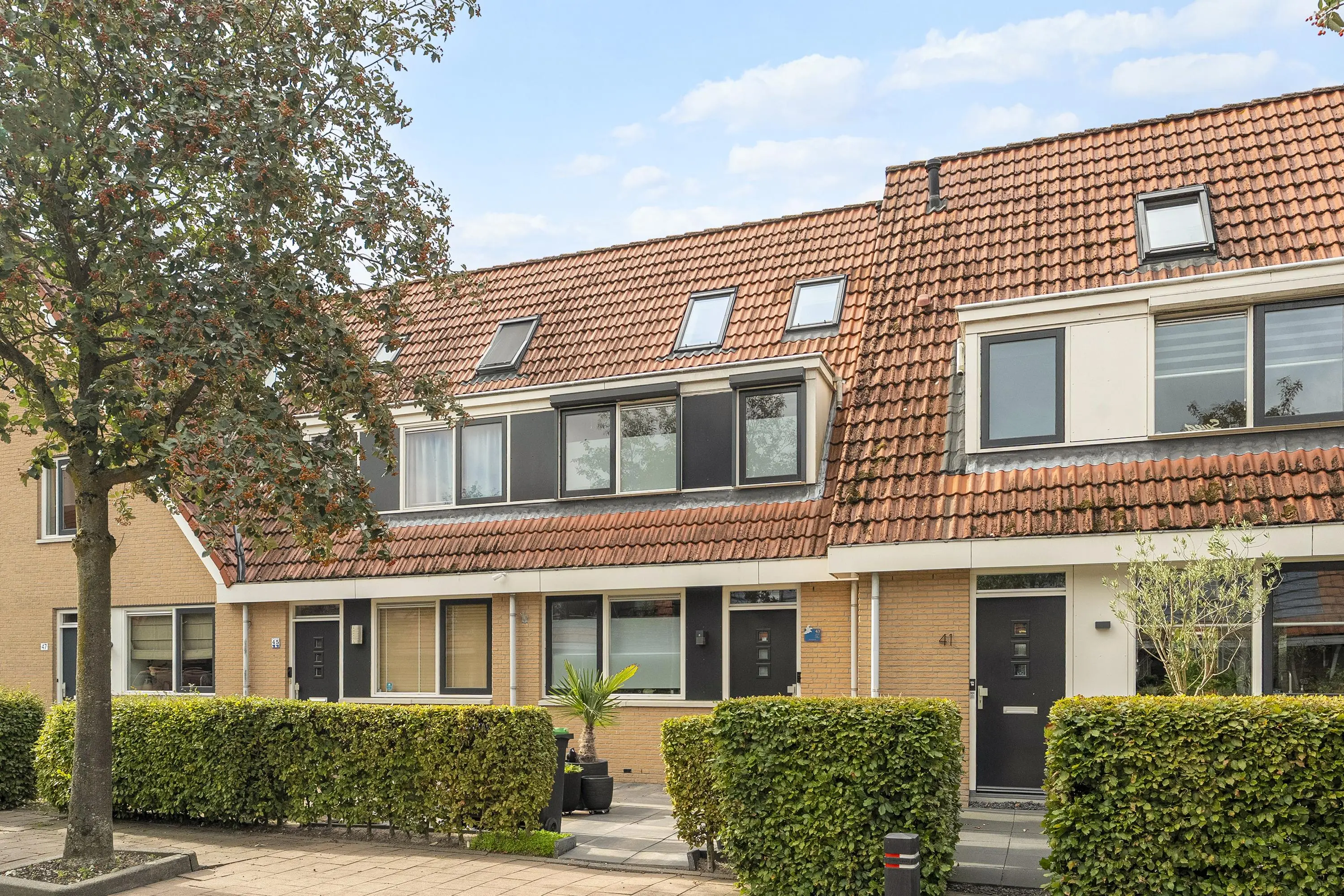 Riedermeet 43