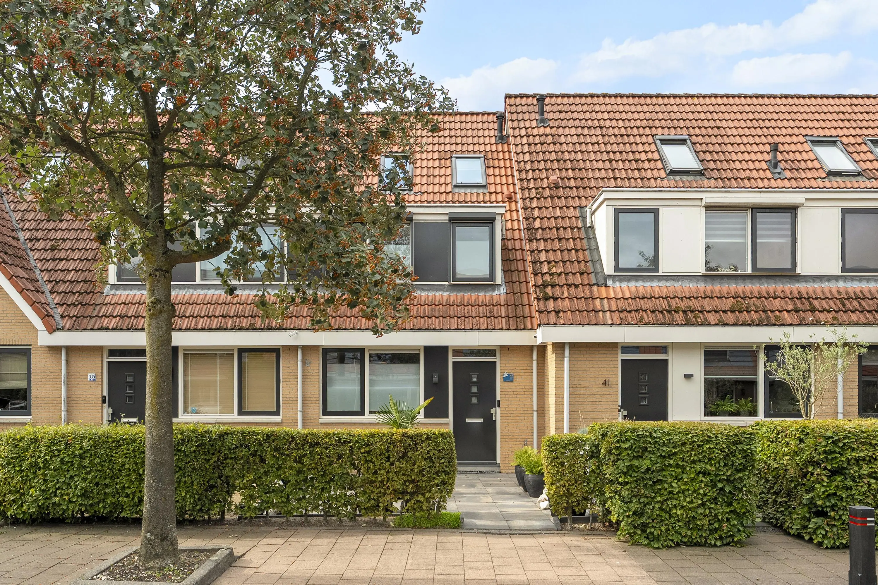 Riedermeet 43