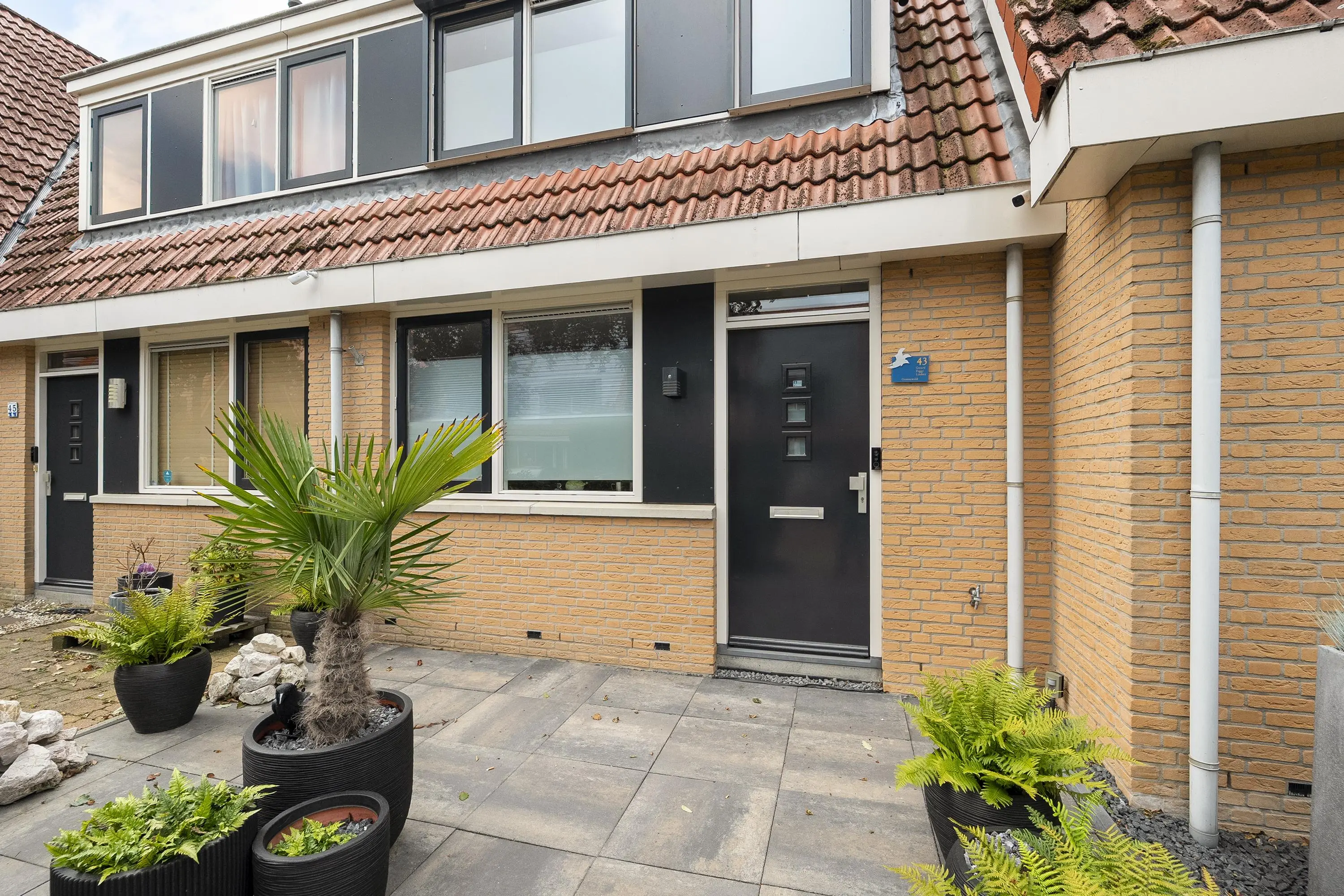 Riedermeet 43