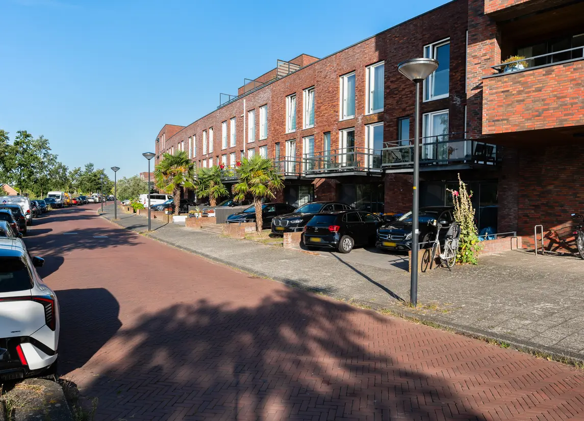 San Franciscosingel 30