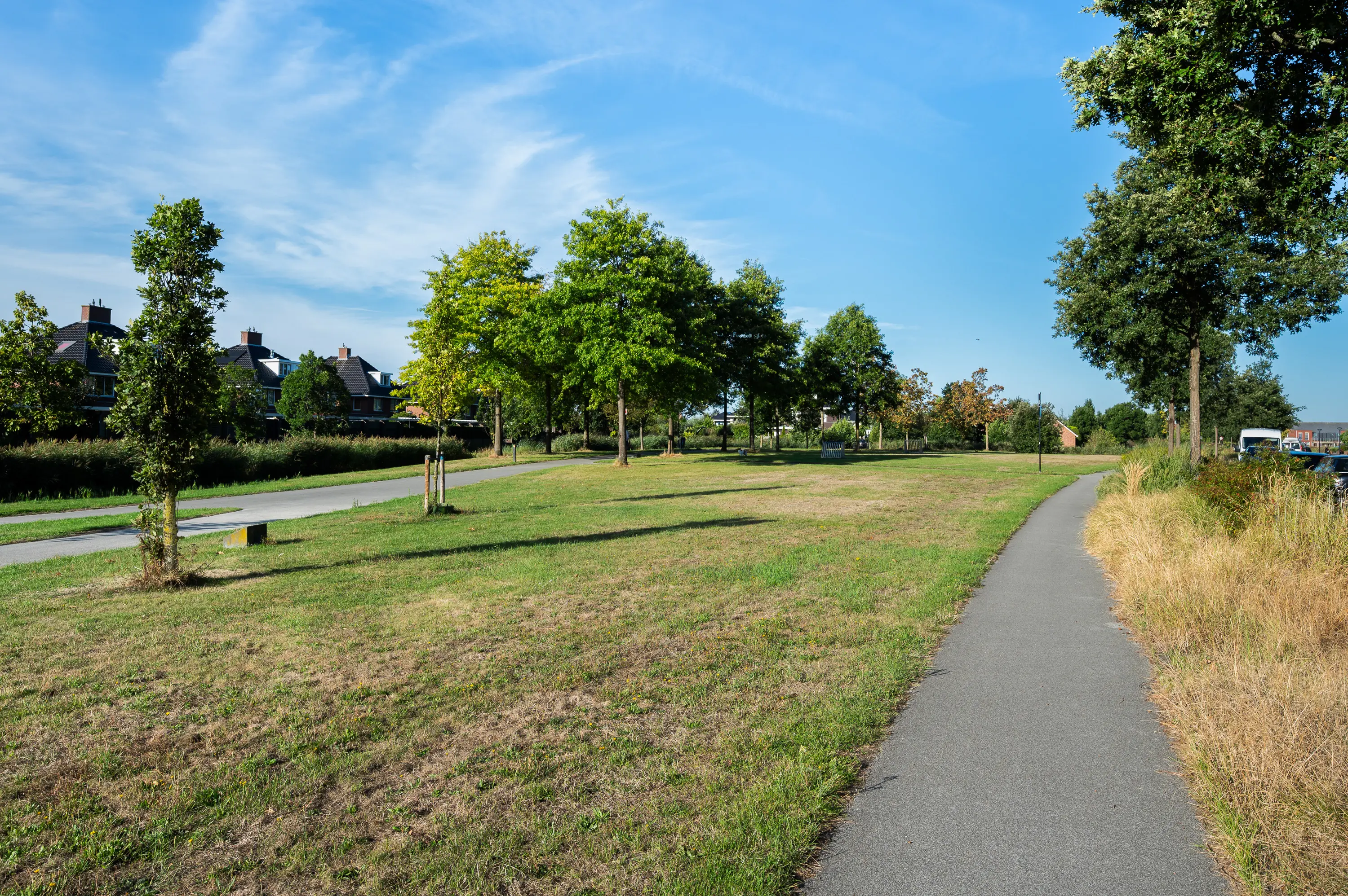 San Franciscosingel 30