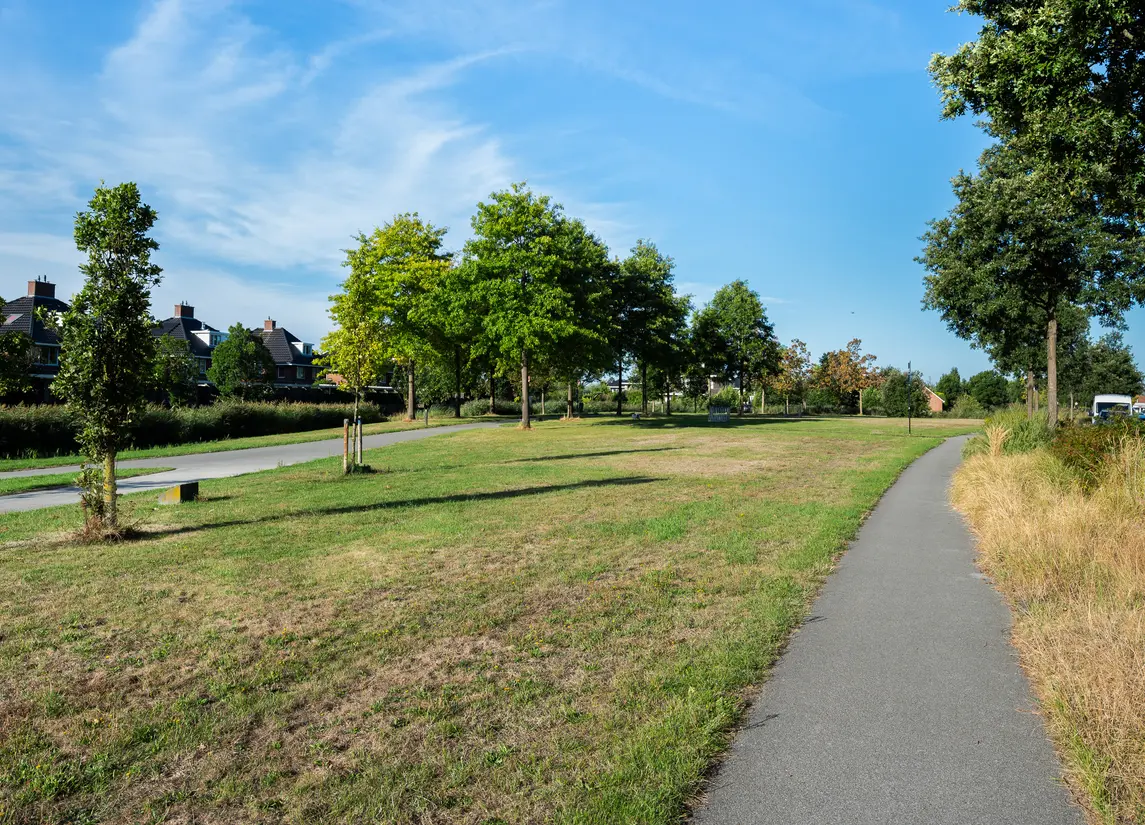 San Franciscosingel 30