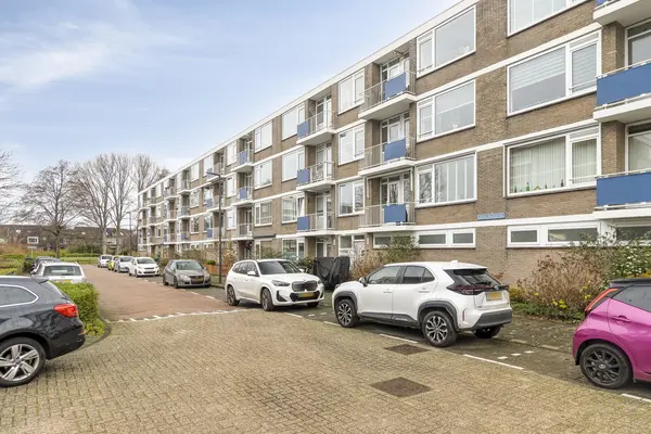 Jeroen Boschstraat 53