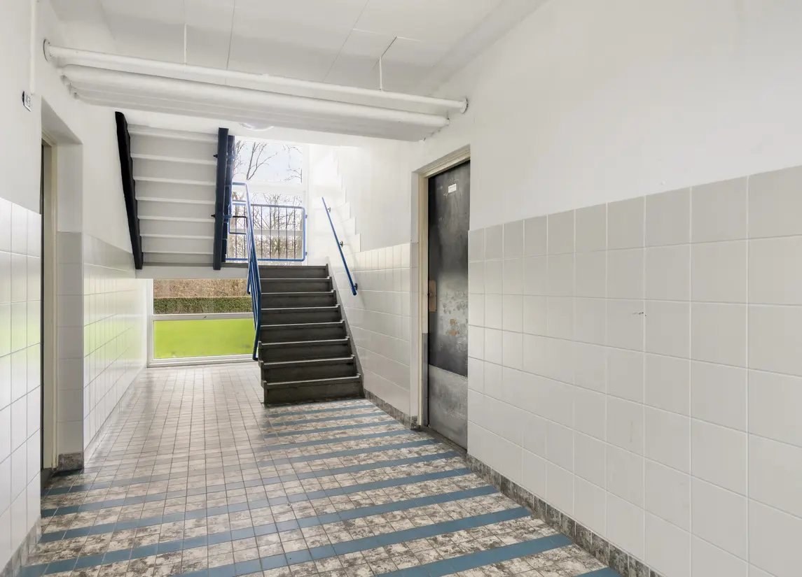 Jeroen Boschstraat 53