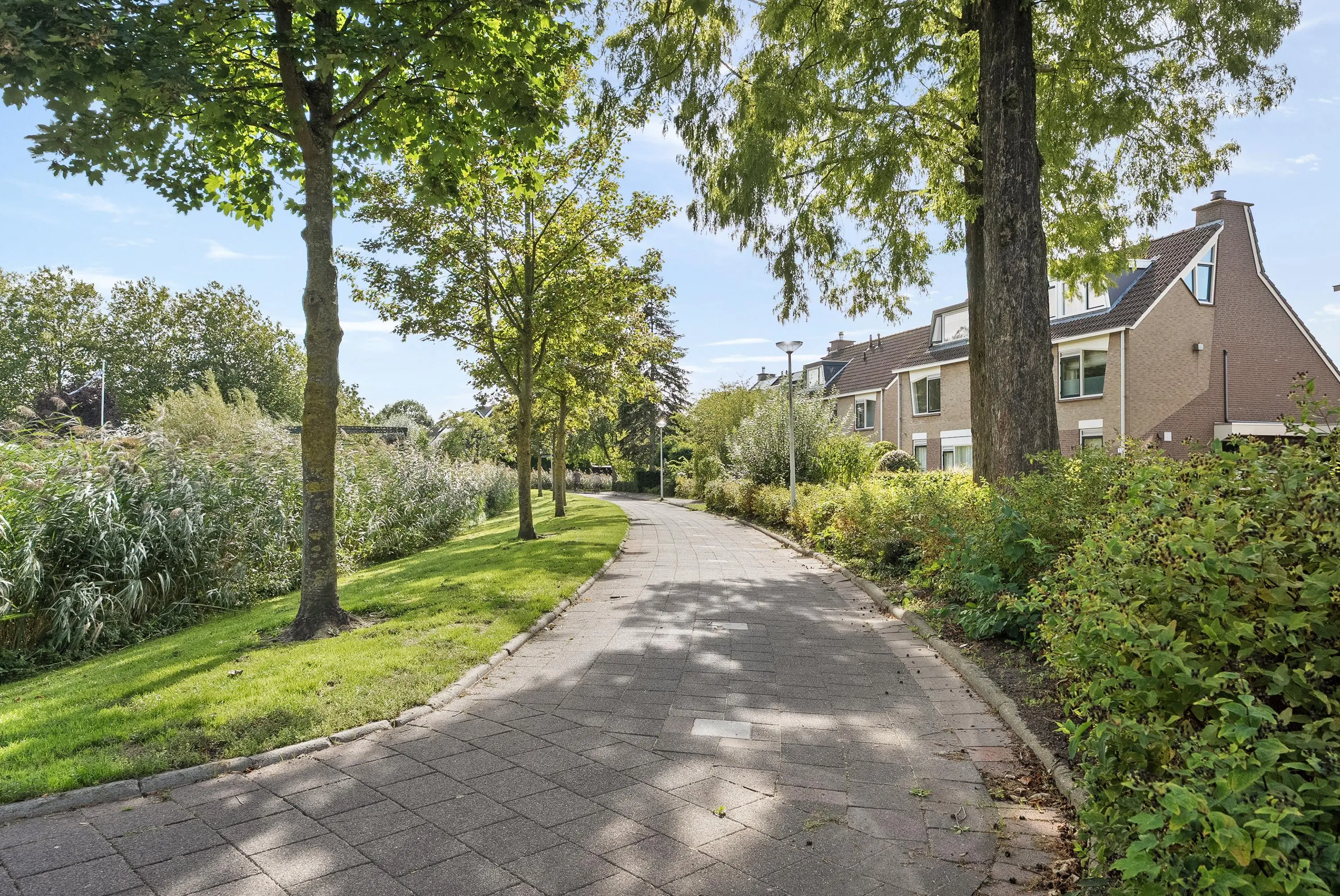 Stellingmolen 25