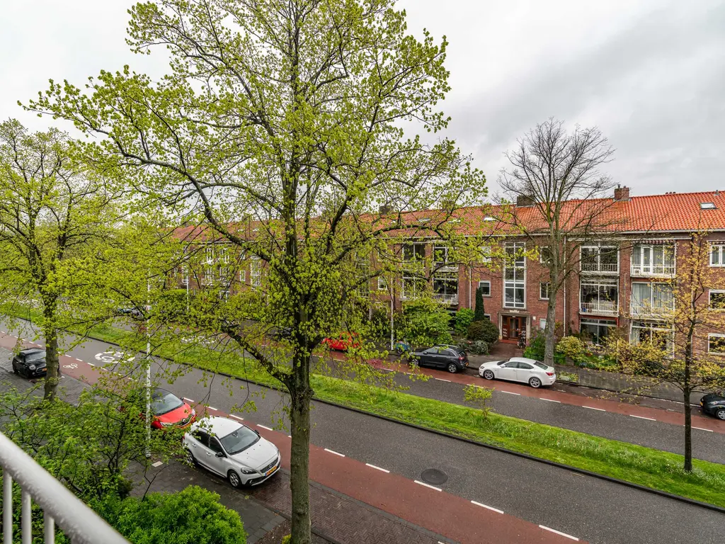 Burggravenlaan 210, Leiden