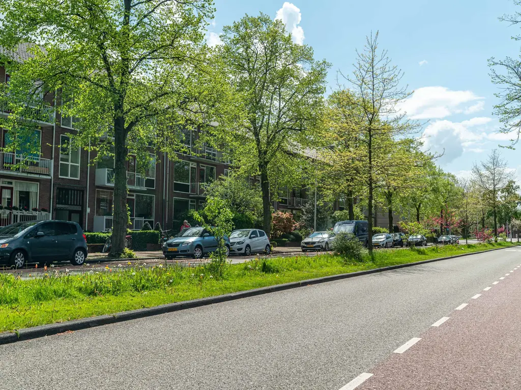 Burggravenlaan 210, Leiden