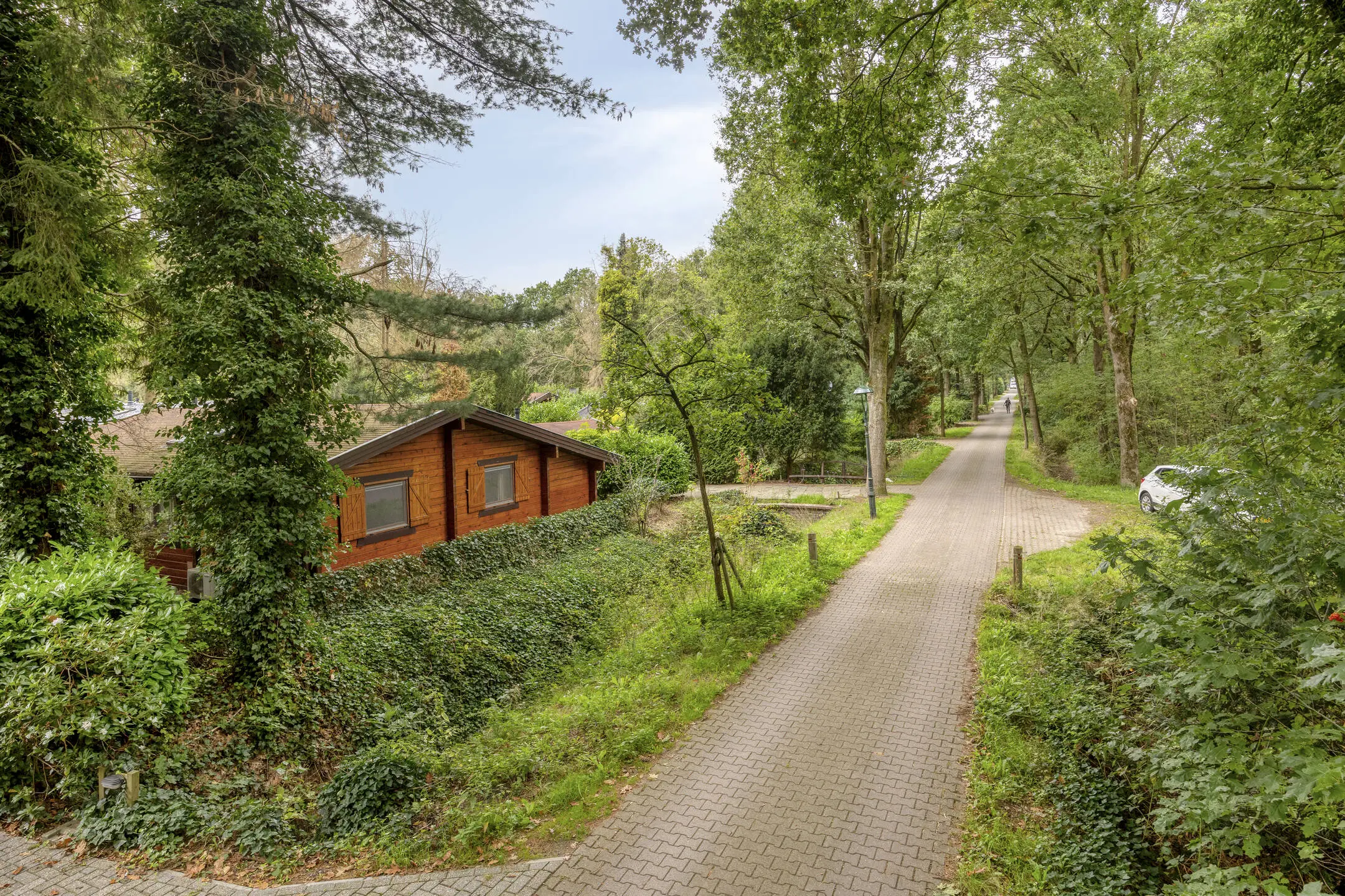 De Stille Wille 247