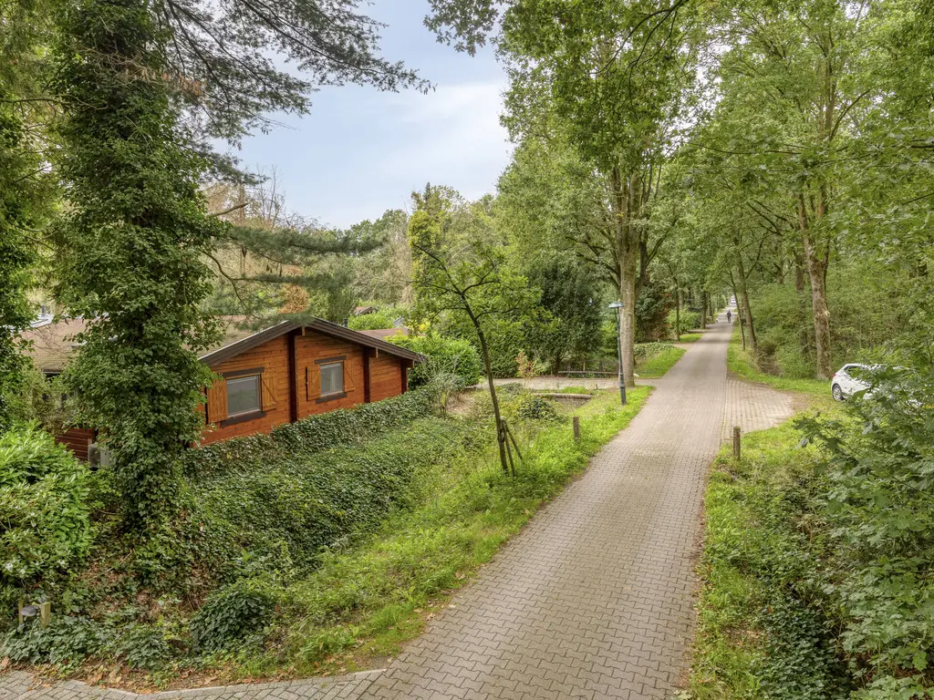 De Stille Wille 247, OOST WEST EN MIDDELBEERS