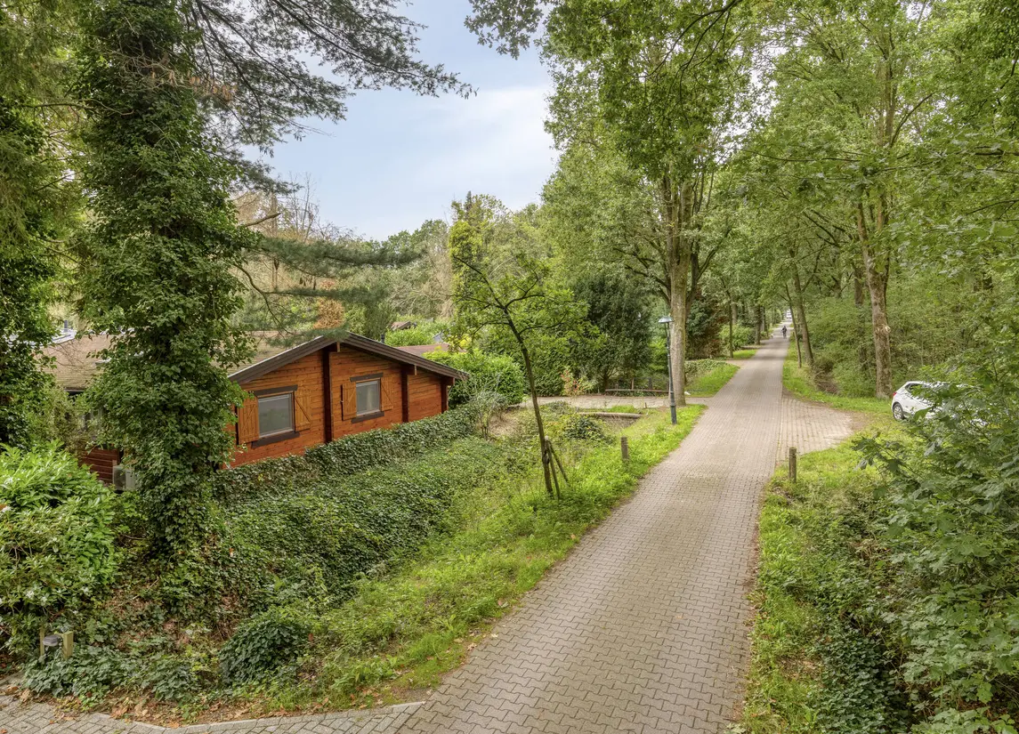De Stille Wille 247