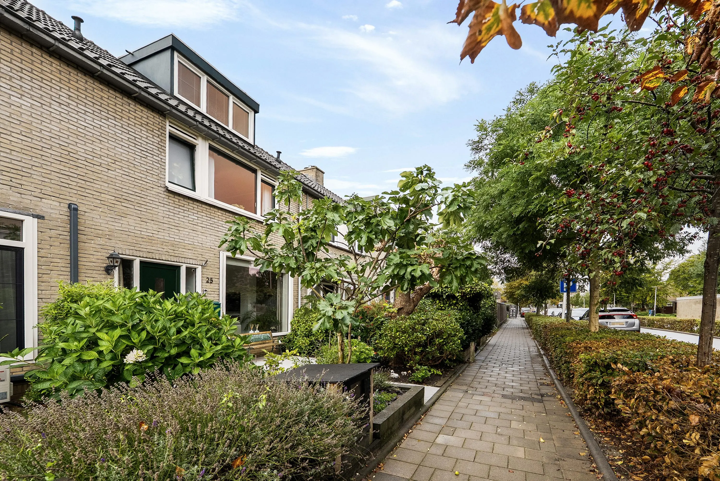 Schaatsbaan 25