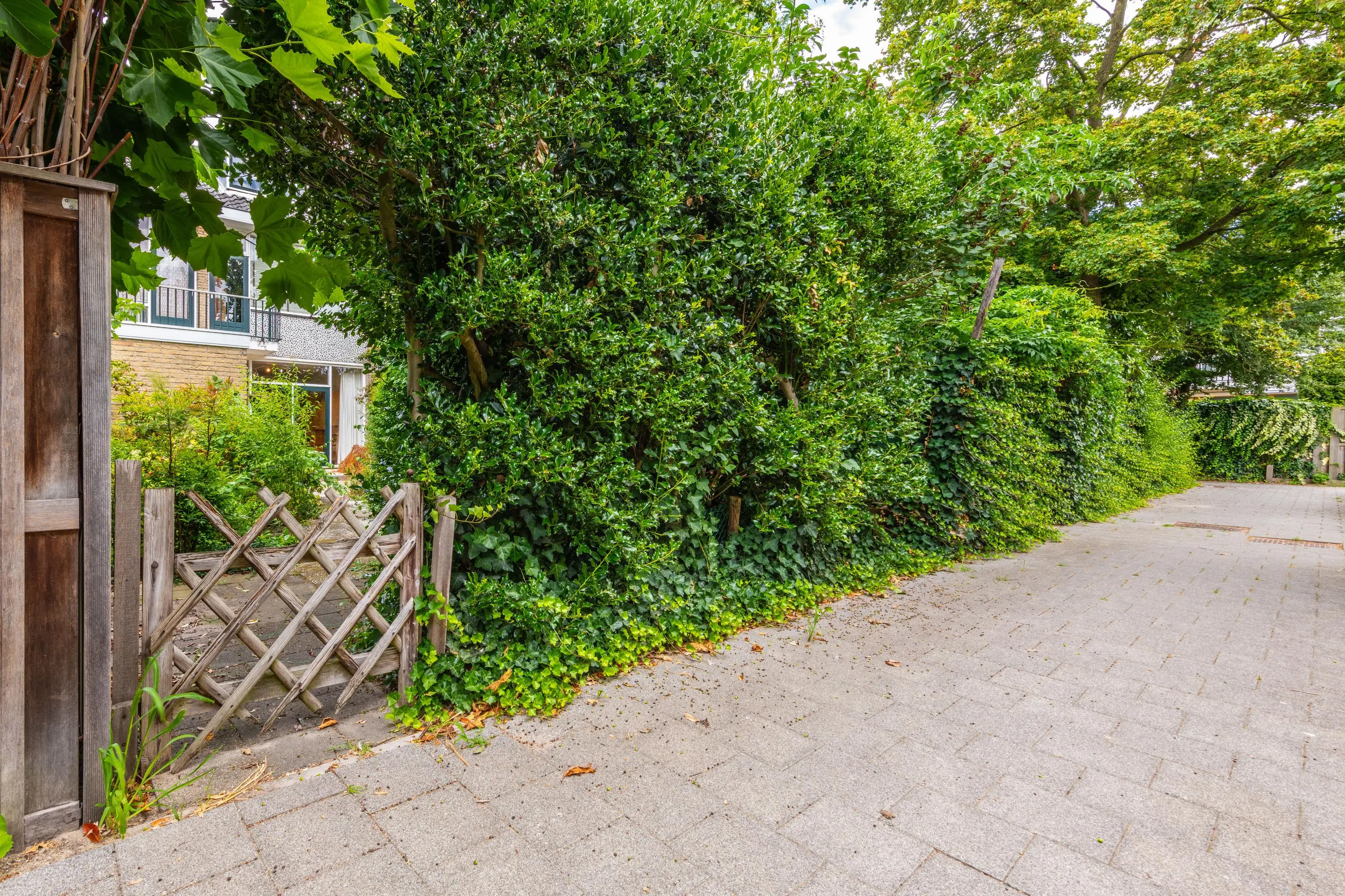 Arent van 's-Gravesandestraat 6