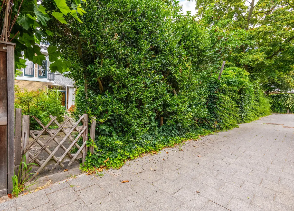 Arent van 's-Gravesandestraat 6