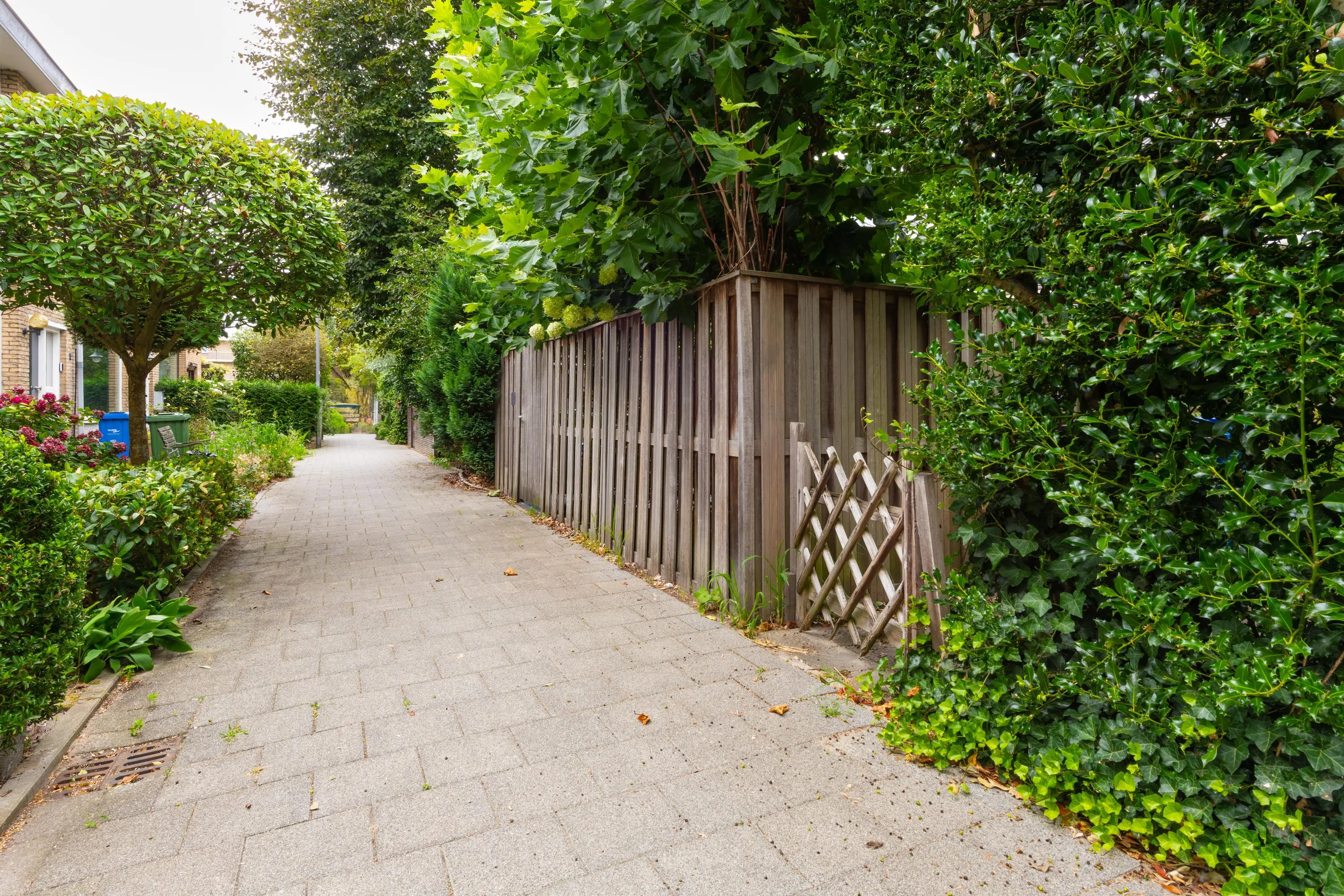 Arent van 's-Gravesandestraat 6
