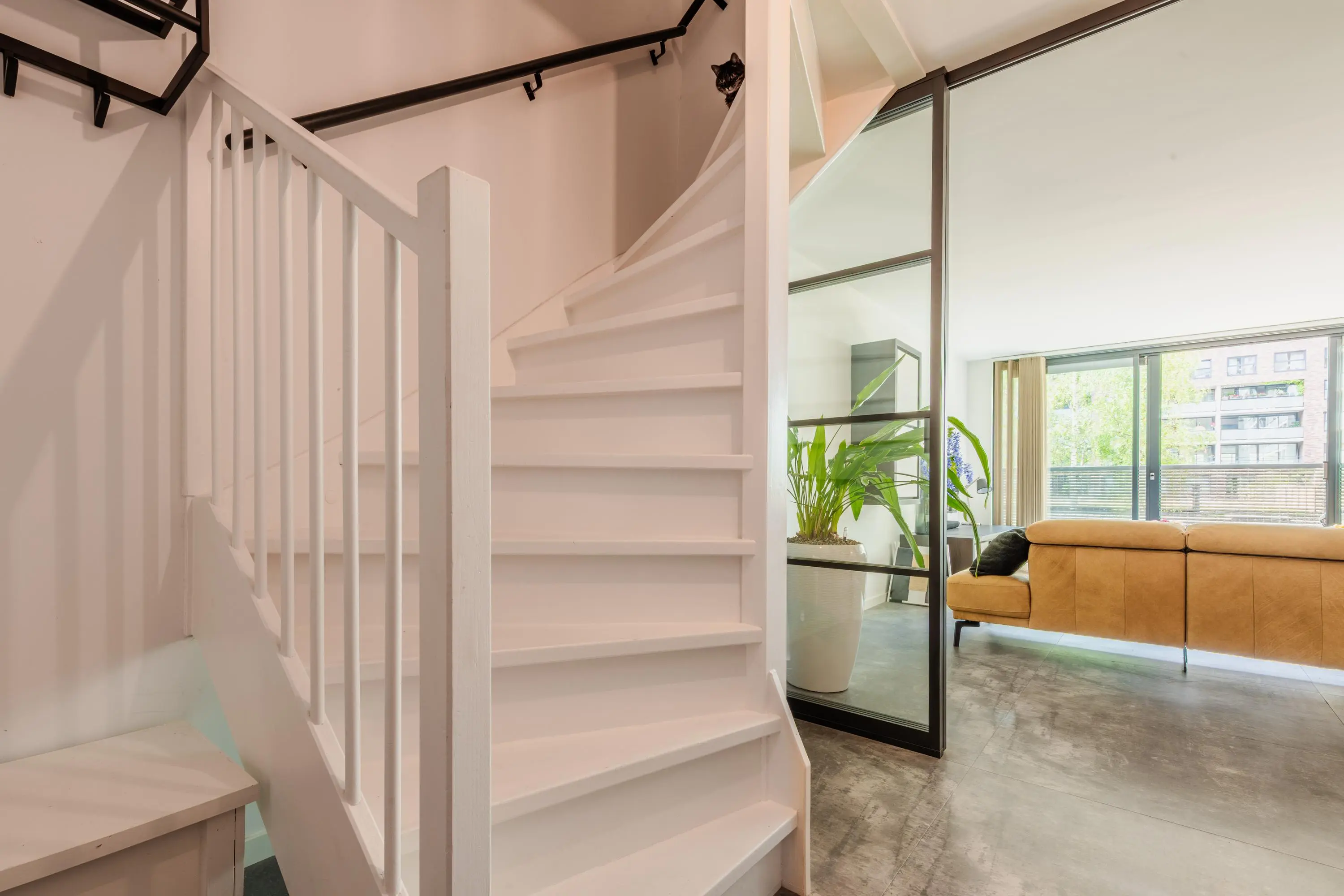 Helmersstraat 5