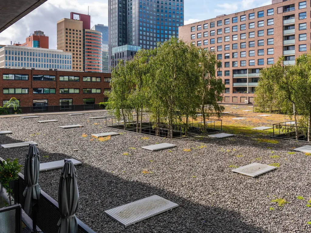 Helmersstraat 5, ROTTERDAM