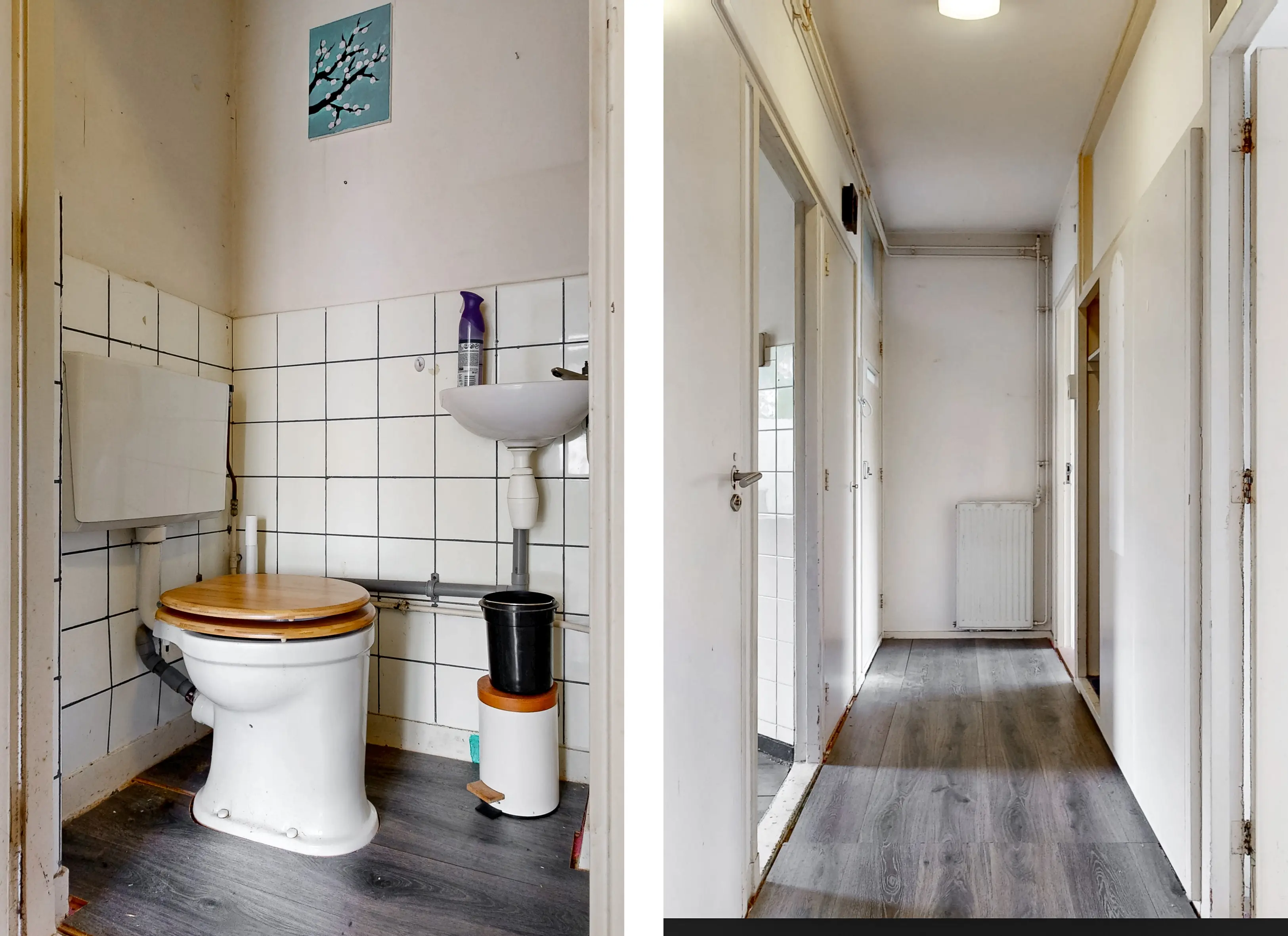 Bachstraat 260