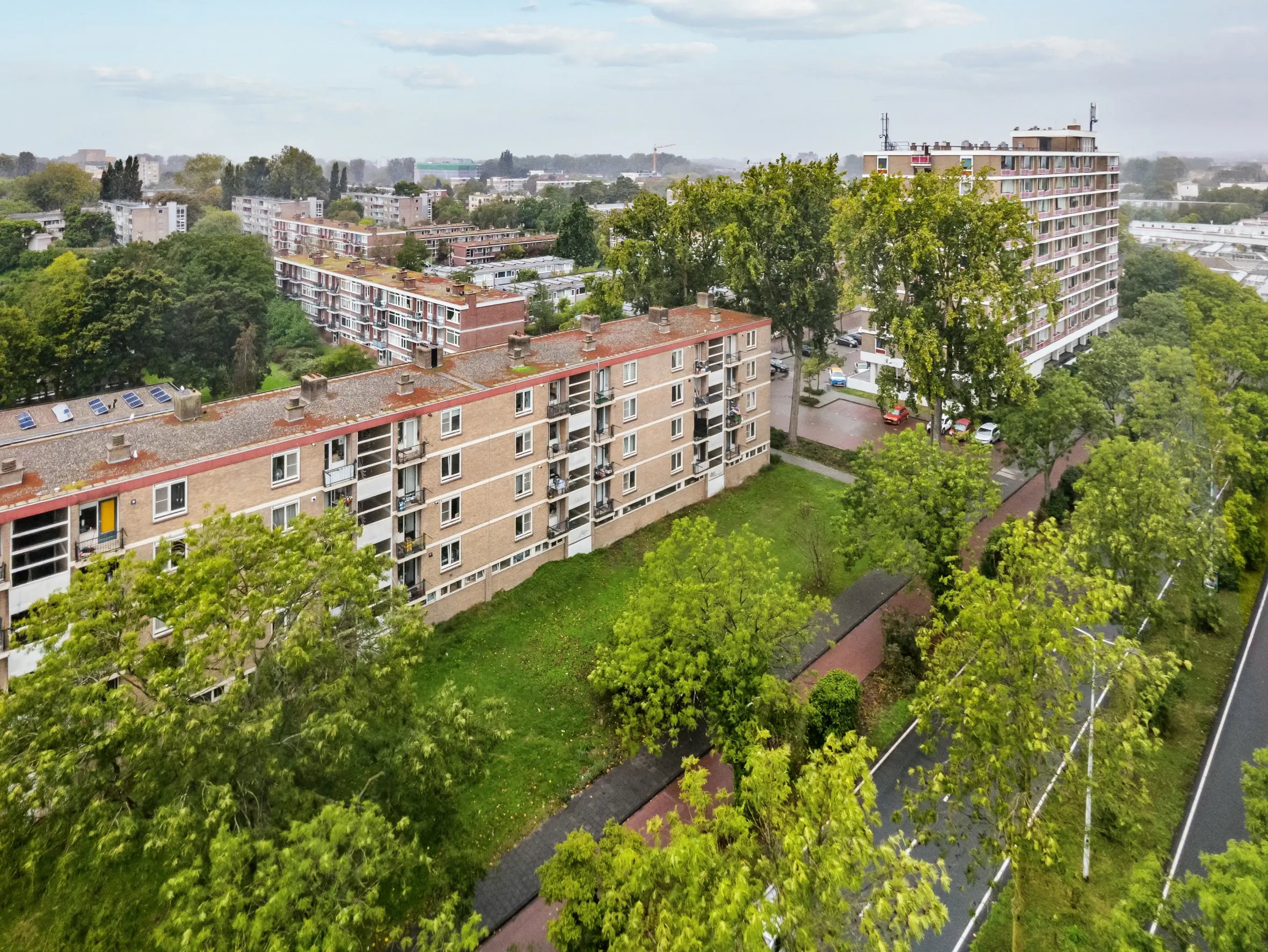 Bachstraat 260