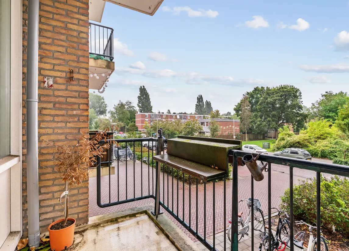 Bachstraat 260