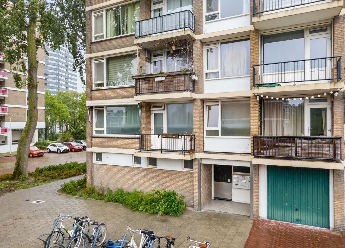 Bachstraat 260