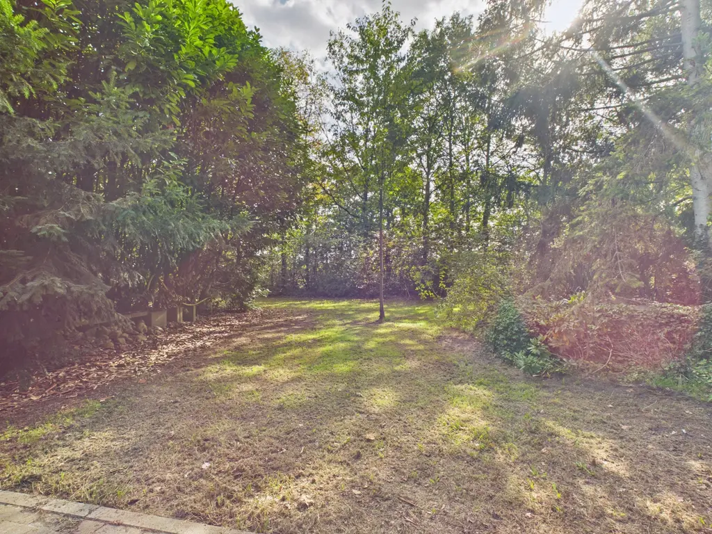Roosendaalsebaan 30, Schijf