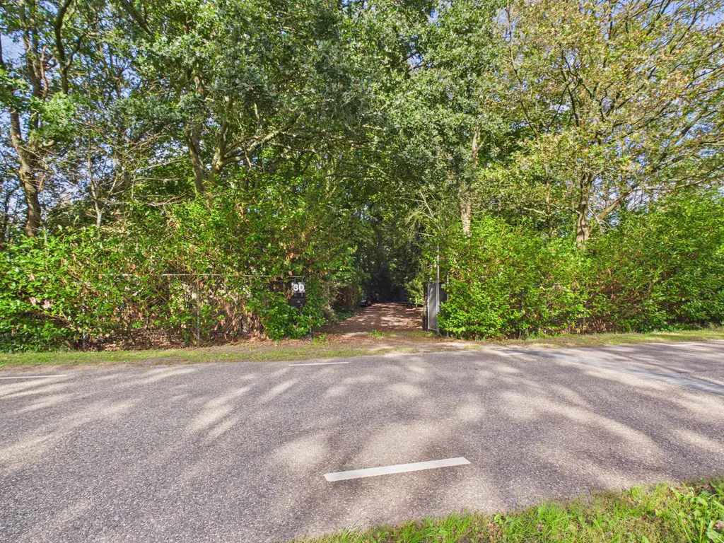Roosendaalsebaan 30, Schijf