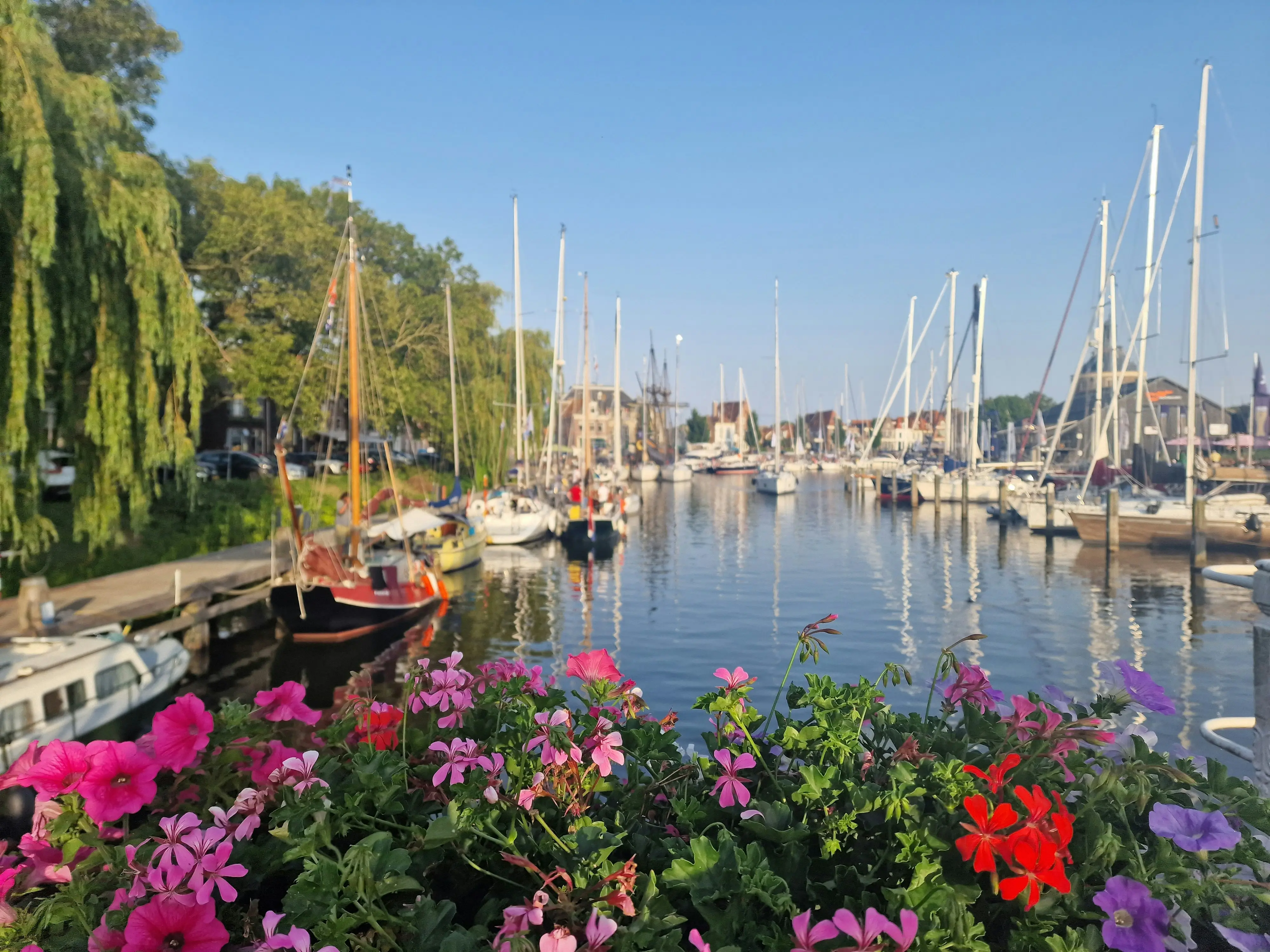 Historisch én in trek: woningmarkt Enkhuizen blijft aantrekkelijk