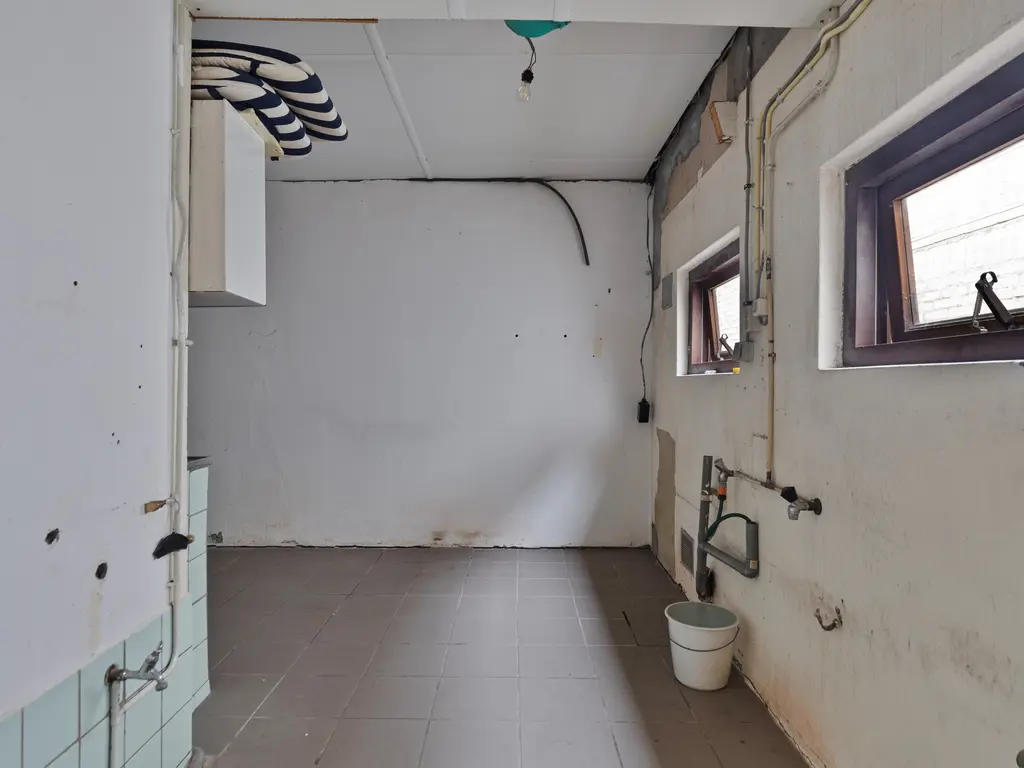 Rapenburg 66, Vogelwaarde