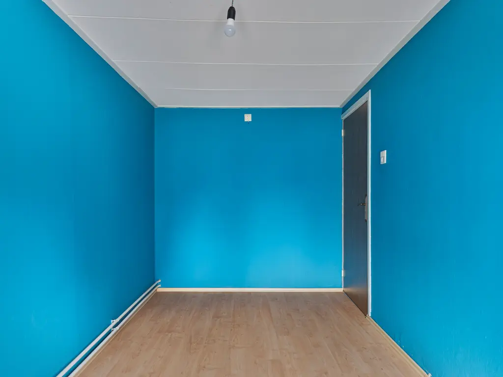 Rapenburg 66, Vogelwaarde