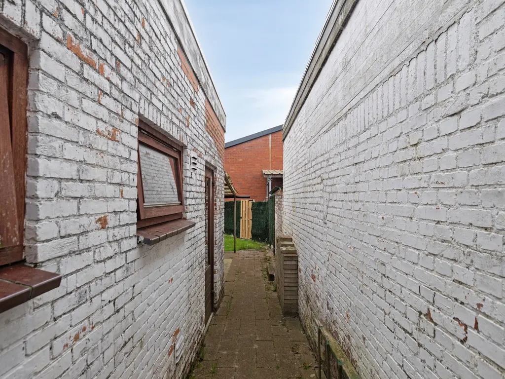 Rapenburg 66, Vogelwaarde