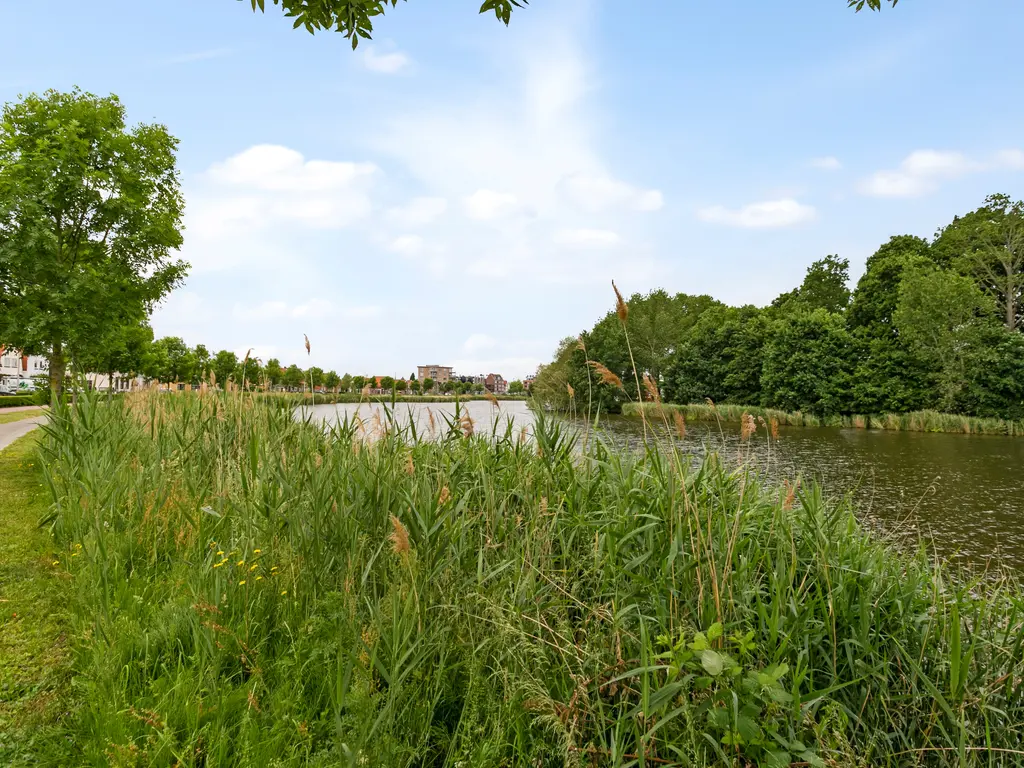 Van Der Maelstedeweg 80, Hulst