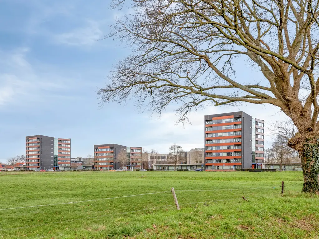 Zoutestraat 132, Hulst