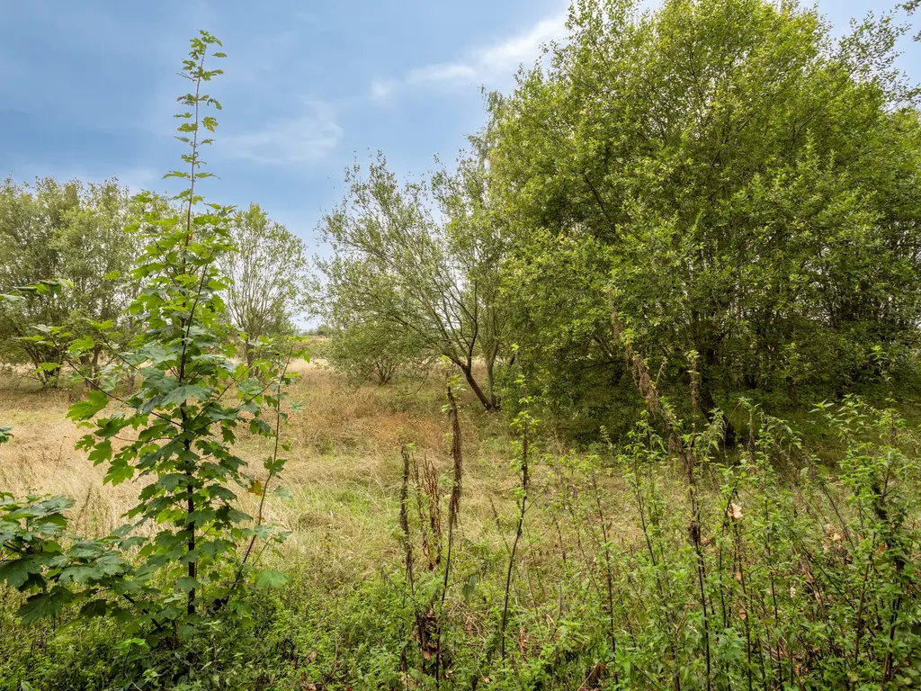 Hulsterweg 166, Terhole