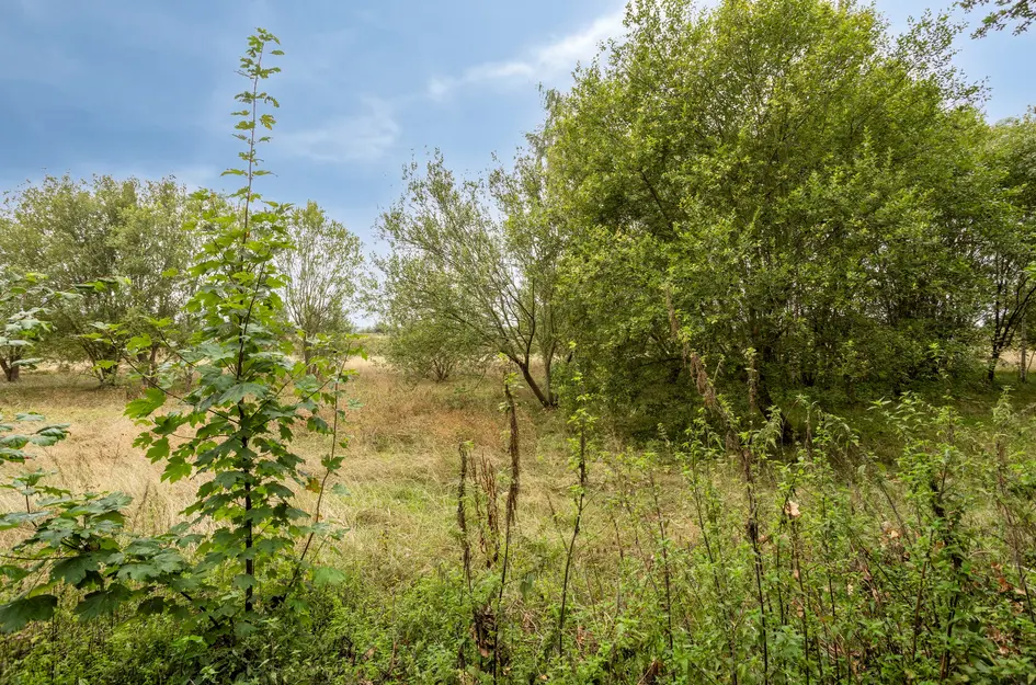 Hulsterweg 166
