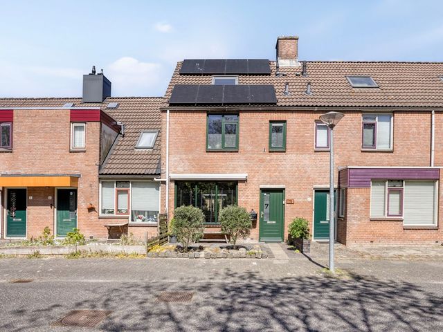 Paardebloem 7, Zwaag