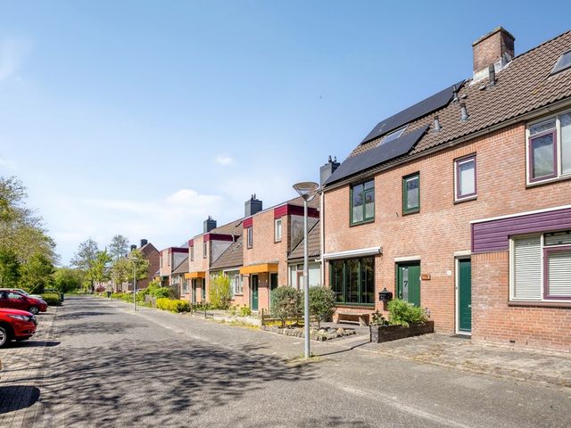 Paardebloem 7, Zwaag