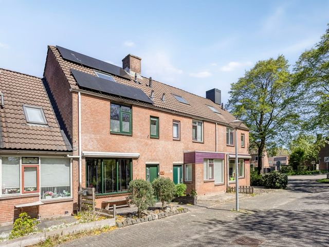 Paardebloem 7, Zwaag