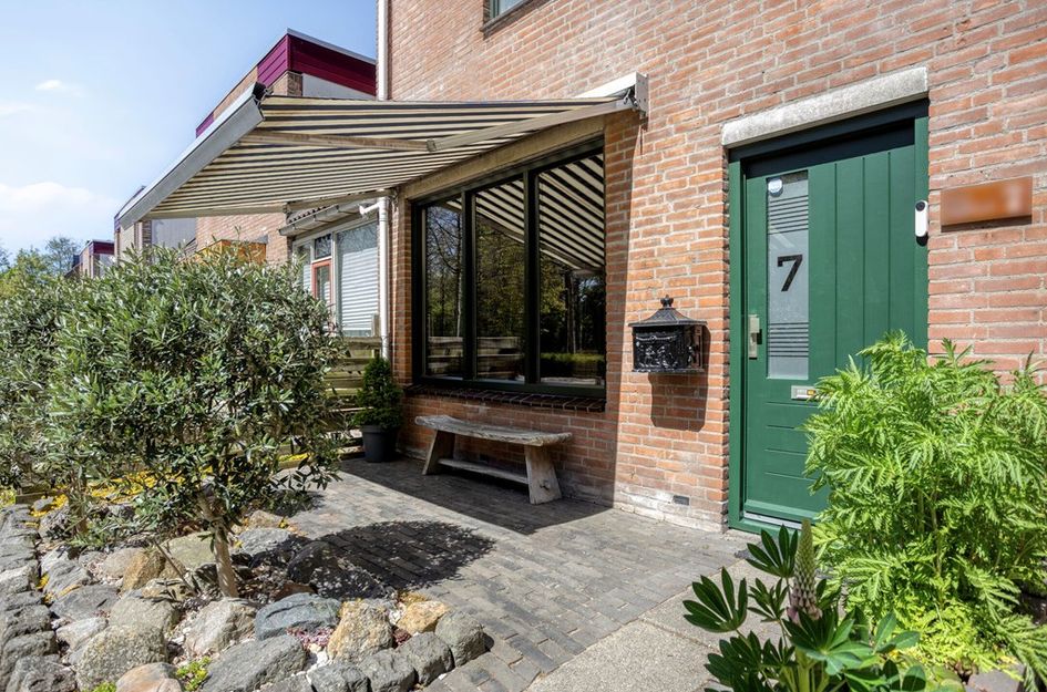 Paardebloem 7
