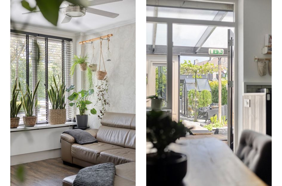 Paardebloem 7