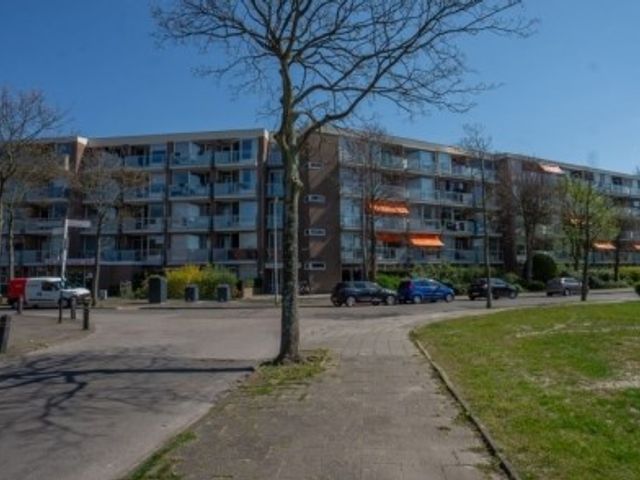 Hadewijchstraat , Alkmaar