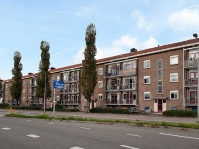 Willem de Zwijgerlaan , Alphen aan den Rijn