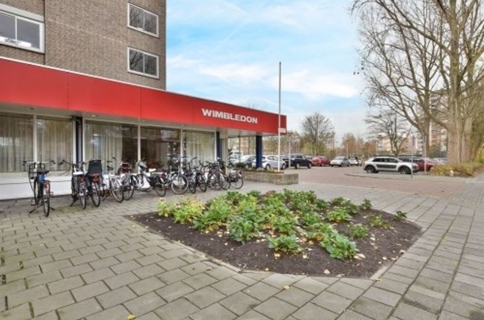 Wimbledonpark 