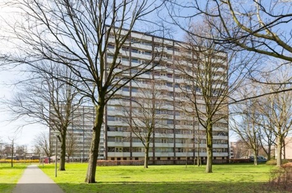 Roggekamp 