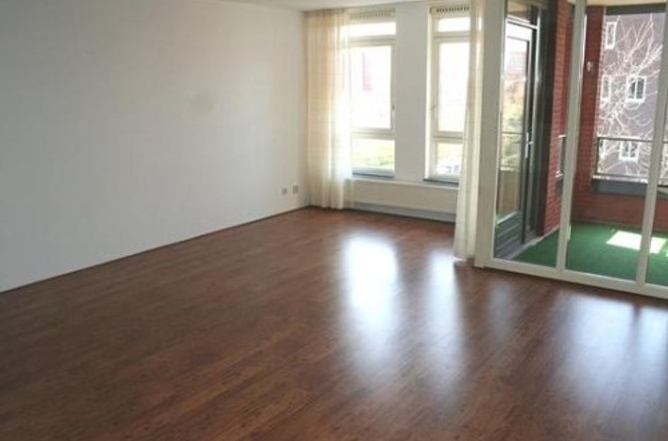 Zilvermeeuwlaan 