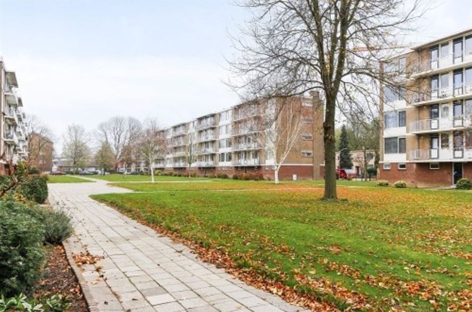 Henri Polakstraat 