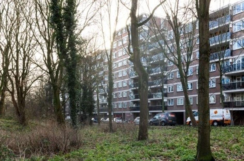 Sandenburg 